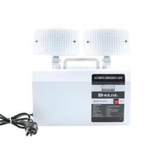 LED Twin Spot Emergency Light Custom Rechargeable LED Dual Heads Emergency Light Corridor 6W Two Heads Emergency Light