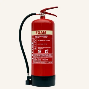 Manufacture Customized 6L Steel Foam Fire Extinguisher Portable Class a for Fire Fighting