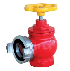 Manufacturer Firefighting Equipment Accessory Cast Iron Indoor Hydrant Landing Valve