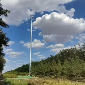 Manufacturer supported Electric Transmission Pylon Tubular Steel Monopole Power Line Tower Telecommunication Tower Accessory