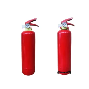 Market Popular Car Fire Extinguisher Dry Powder Fire Extinguisher 1kg for Vehicle Use