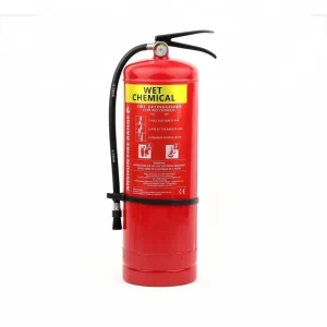 Mini Portable Class a Fire Extinguisher Water Based Agent CE Certified Carbon Steel Cylinder for Automobile Home Use 1L Capacity
