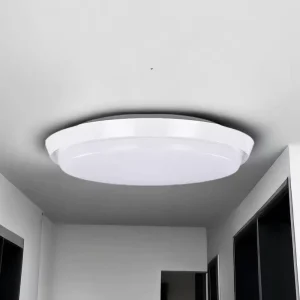 Motion Sensor Ceiling Light Indoor Sensor Emergency Lighting Led Ceiling Light