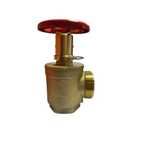 Natural Painted Brass Fire Hydrant Valve Angled Fire Fighting Rescue Valve with Coupling Brass Firefighting Equipment Accessory