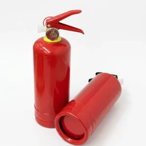OEM DOM Support Accessories Customization Extintores De Incendio 1KG Small Dry Powder Fire Extinguishers for Kitchen Car