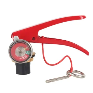 OEM OBM M30*1.5 Brass Red Safety Valve Dry Powder Water Based Fire Extinguisher