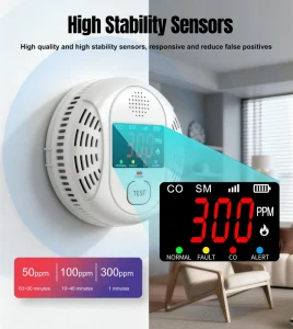 OEM ODM 85dB 2 In 1 Independent CO Smoke Alarm Fire Protection Smoke Detector Composite Carbon Monoxide Sensor