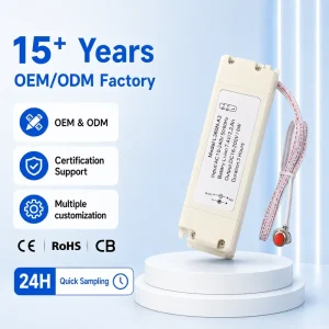 OEM Rechargeable LED Emergency Power Supply for External Driver LED Lamps 3 Hours Battery