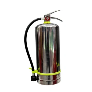 Portable 2kg Stainless Steel Fire Extinguisher with 3C Certification for Home Kitchen Car