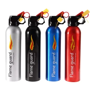 Portable Car Fire Extinguisher