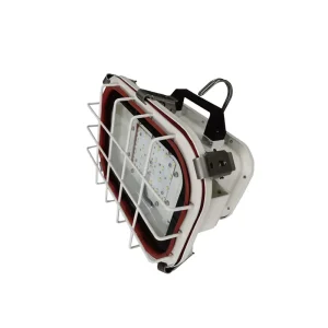 Portable LED Pendant Light CSD8 IP67 Rated 60W 220V Marine Emergency Lighting