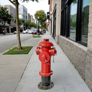 Portable Outdoor Scenting French Waterous Fire Hydrant Listed 4 Inch Hydrant Fire System Fire Hydrants for Sale