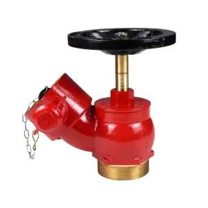 Pressure Reducing Steadying and Revolving Indoor Fire Hydrant