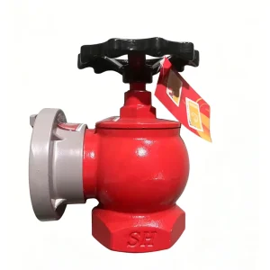 Professional 1.6MPa 65mm (2.5 Inches) Indoor Ductile Iron Fire Fighting Equipment SN65 Fire Hydrant