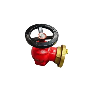 Professional Indoor Fire Hydrant SNW65 Firefighting System Equipment & Accessories Factory Direct