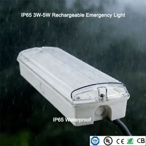 Rechargeable IP65 LED Emergency Light Surface Recessed Bulkhead Exit Sign Light