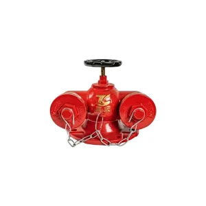 Russian Fire Hydrant Indoor Fire Hydrant Fire Hydrant Product Fire Hydrant SDD150 1.6 Indoor Hydrant Fire Hydrant