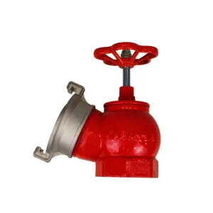 Russian Indoor Fire Hydrant Landing Valve Ductile Iron DN50 DN65