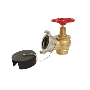 Russian Style Fire Water Hydrant Landing Valve TCVN 2″ BSP Brass 16bar Pressure DN40 DN50 DN65 Outlet
