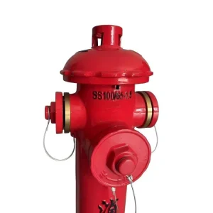 SHENGFENG Durable Cast Iron Firefighting Equipment Accessories SS100 65 1.6 Ordinary Ground Outdoor Fire Hydrant for