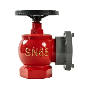 SN65 Rotary Type Steadying Indoor Fire Hydrant Fire Fighting Sprinklers Indoor Fire Hydrant Type Fire Hydrant