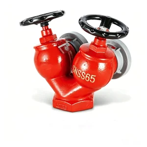 SNSS65 DN65 Ductile Iron 1.6MPa Fire Safety Equipment Double Valve Dual Outlet Indoor Fire Hydrant for Building Fire Suppression