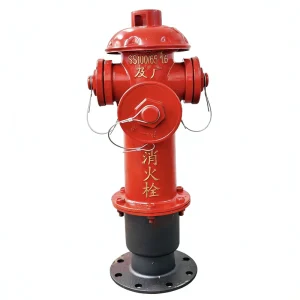 SS100 65 High Pressure Cast Iron Ground Fire Hydrant 100/150mm 1.6MPa/2.4MPa Customizable Firefighting Equipment