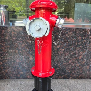 Sanhui Fire Hydrant Ductile Iron Outdoor Ground SS100 65 1.6 French Type Fire Fighting Hydrant 1200mm