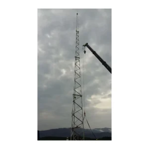 Self Supporting Lightning Protection Pole Tower 10m to 50m for Roof and Ground Installation
