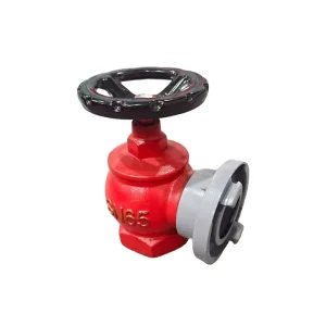 Single Export Fire Hydrant Valve, Fire Shop Accessories, Fire Equipment SN65 Indoor Fire Hydrant