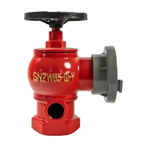 Single Valve SNZW65 Indoor Rotary Pressure Regular Fire Hydrant Fire Fighting Sprinklers Indoor Fire Hydrant Type Fire Hydrant