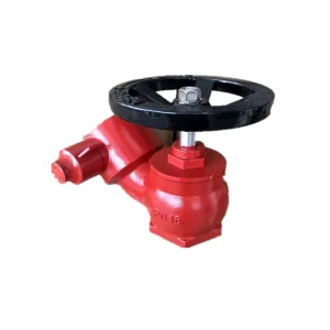 Single-valve Brass Indoor Fire Hydrant Valve SNS6565 (South Africa Type Fire Hydrant .3inch)