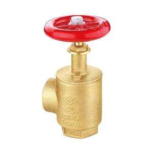 Slion Brass for Fire Fighting Pipes Fire Protection System Fire Sprinkler System Angle Hose Valve Firefighting Equipment 5 Year