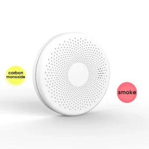 Standalone 10 Year Sealed Lithium Battery CO Smoke Alarms Combination Fire Smoke & Toxic Gas Carbon Monoxide Detectors