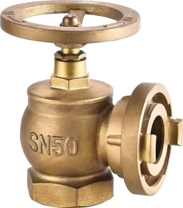 Standard SN50 Indoor Fire Hydrant Flexible Fire Fighting Equipment Made of Brass