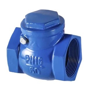 Threaded Check Valve for Firefighting Equipment Accessories