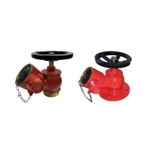 Threaded Connection 2.5 Inches Fire Hydrant Fire Cut-off Valve Brass Fire Hydrant