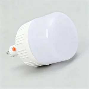 USB Rechargeable DC LED Light for Outdoor Camping E27 B22 Base Globe 10W 50W Dimmable High CRI 60 Garden Emergency Use