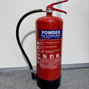 Various Size Steel Portable Dry Powder Fire Extinguisher for Firefighting Equipment Accessories