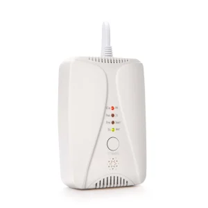 Wireless Household Carbon Monoxide and Natural Gas Heater Leak Fire Alarms Detector for Garage