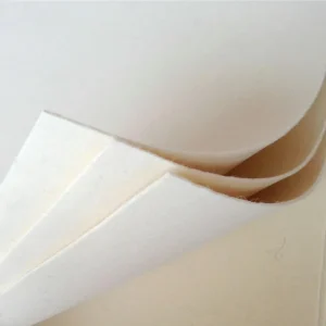 Wool Felt Needle Mat Fire Blanket Hat Use 100% Wool Eco Friendly Heat Proof Woolen Woven Yarn Plain Style White 600g/m2 Girls