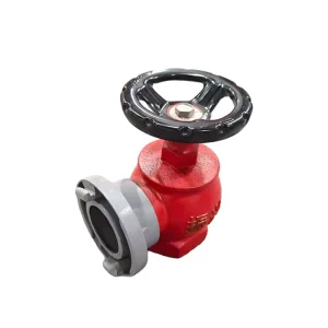 Ws SN65 Indoor Fire Hydrant 1.6Mpa Working Pressure Customizable From China Supplier