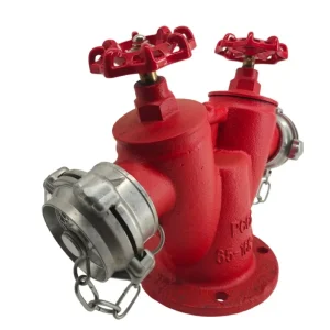 Y Type Durable OEM Brand Fire Hydrant Flexible 65-16K-65 Double Valve Public Place Use